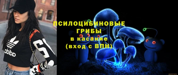 дживик Переславль-Залесский