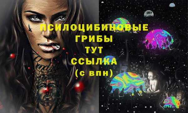 скорость Пестово