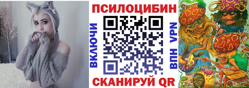 Псилоцибиновые грибы мицелий где можно купить наркотик Шарыпово